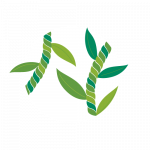 ti leaf lei