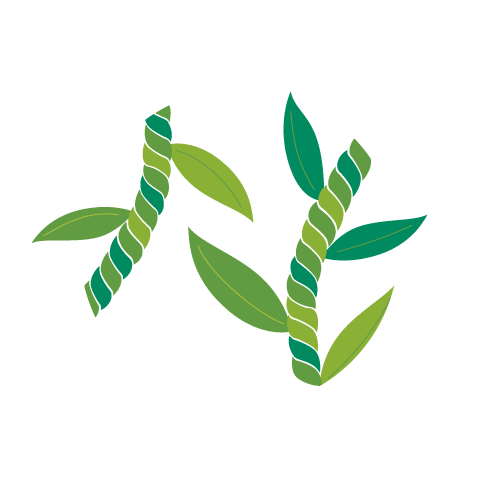 ti leaf lei