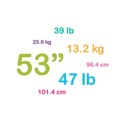 Anthropometric data